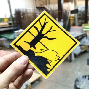 Diferentes imos 10 x 10 cm